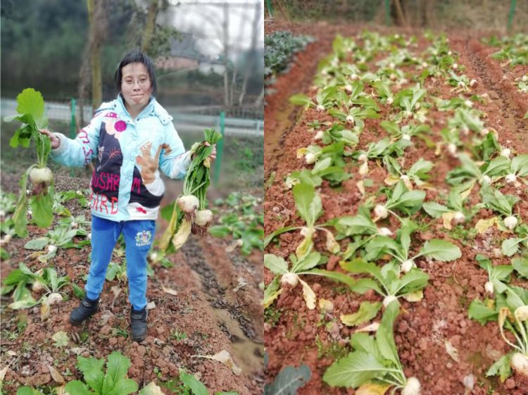 微信图片_20190122150638_jpg