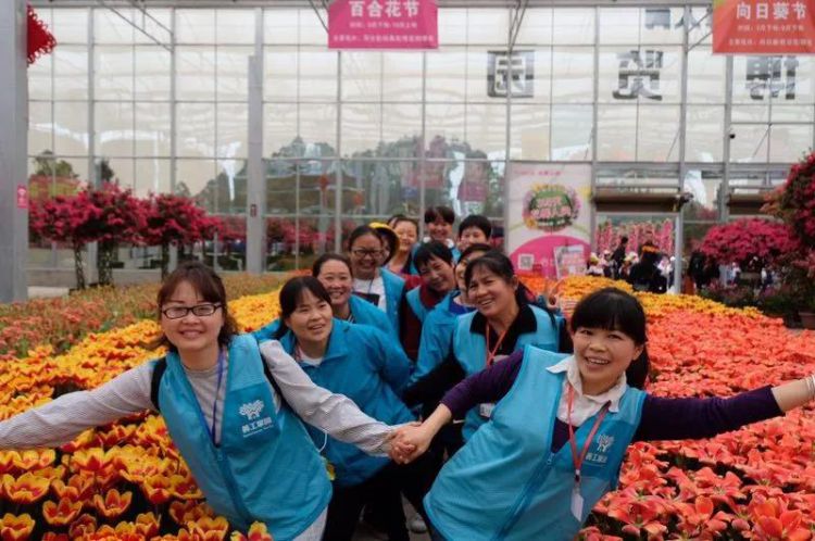 微信图片_20190225102701_jpg