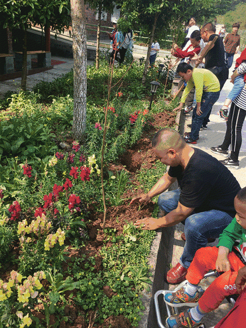 微信图片_20190225102711_gif