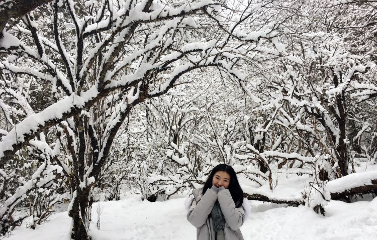 微信图片_20190222100554_jpg