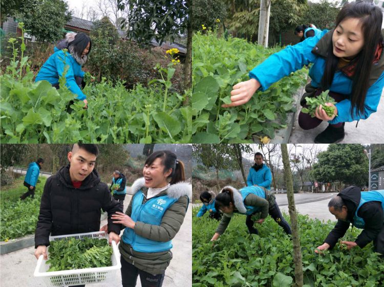 微信图片_20190222143417_jpg