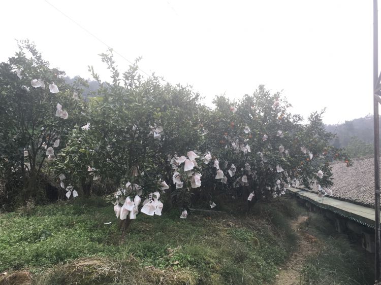 微信图片_20190307095640_jpg