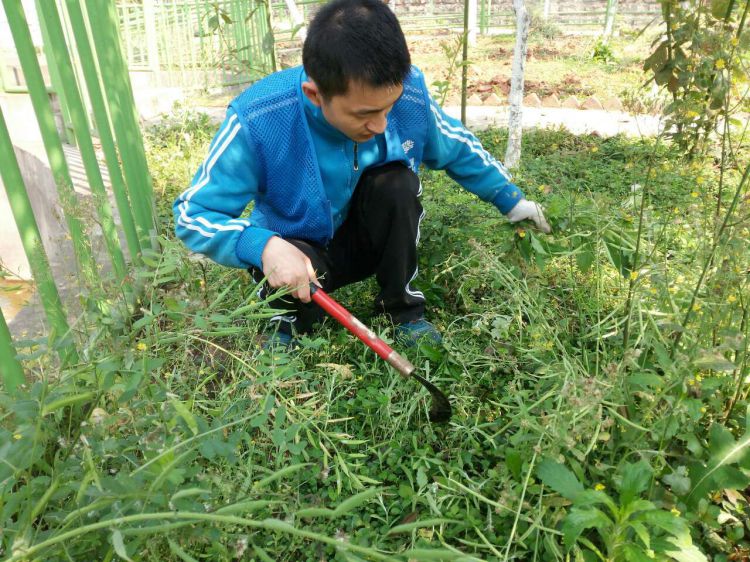 微信图片_20190307095647_jpg