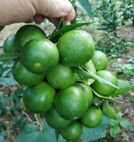 QQ截图20190308111124_png