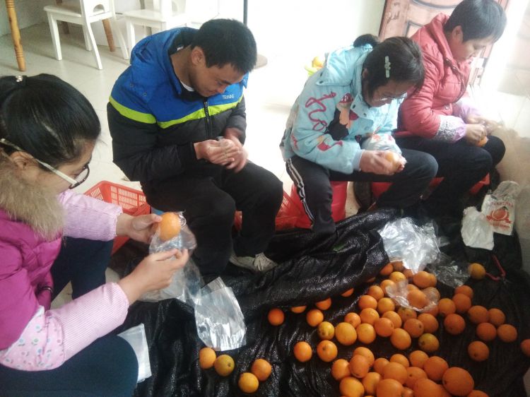 微信图片_20190308113810_jpg