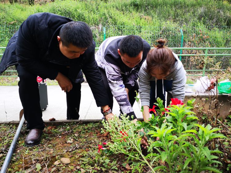 微信图片_20190314112026_jpg