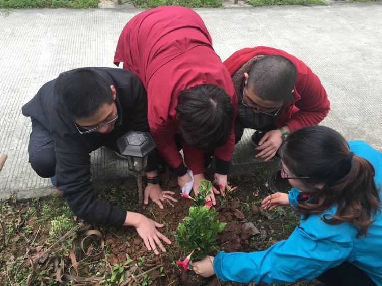 微信图片_20190314112244_jpg