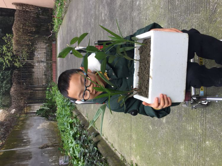 微信图片_20190314133017_jpg