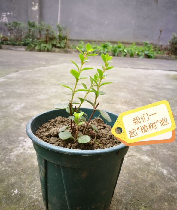 微信图片_20190314162114_jpg