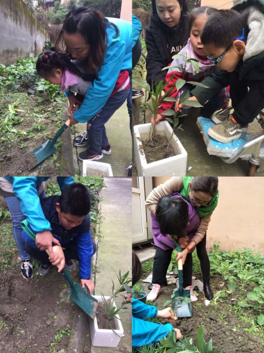 微信图片_20190315102220_jpg