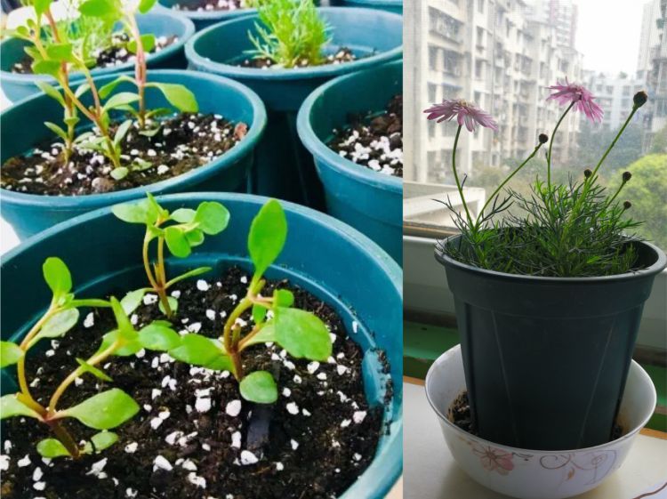 微信图片_20190322134153_jpg