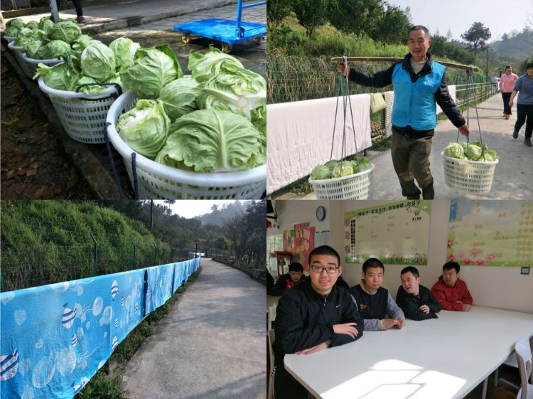 微信图片_20190322134208_jpg