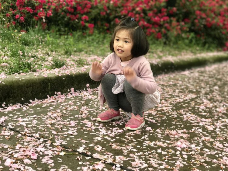 微信图片_20190405195304_jpg