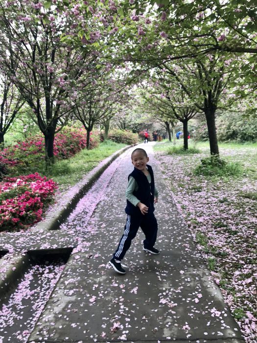 微信图片_20190405200047_jpg