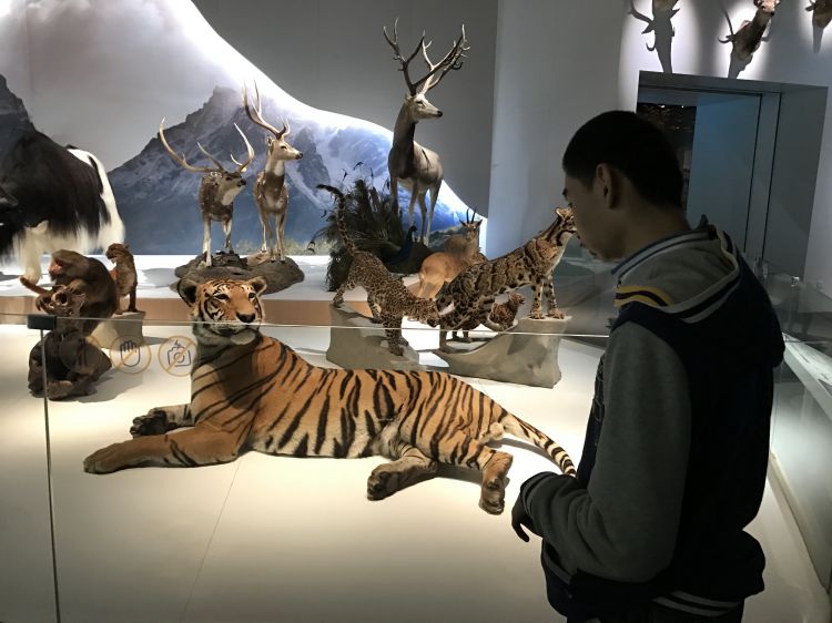 微信图片_20190405201749_jpg