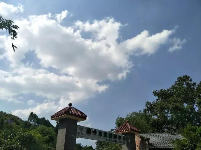 微信图片_20190413204552_jpg