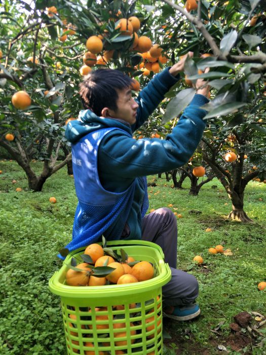 IMG20171219135532_jpg