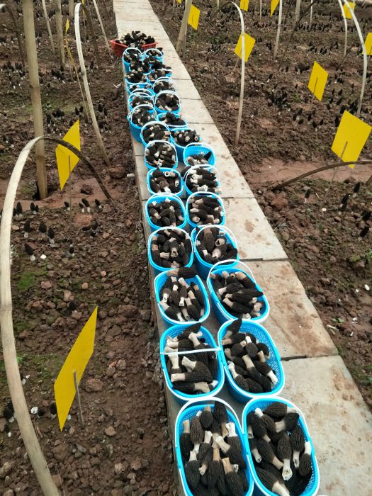 IMG20180320115859_jpg IMG20180320115859_jpg