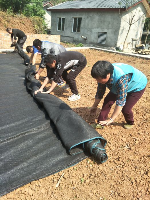 IMG20180417105204_jpg IMG20180417105204_jpg