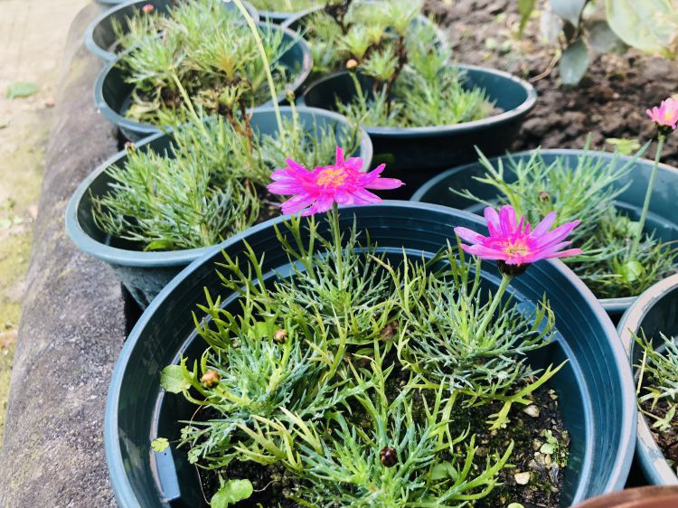 微信图片_20190329095109_jpg