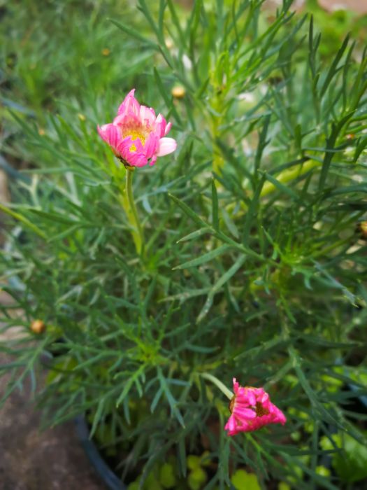 微信图片_20190329095530_jpg