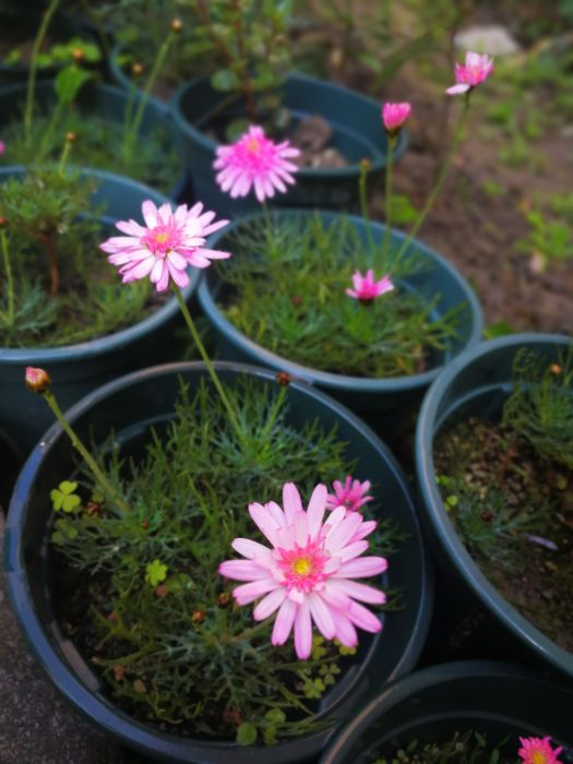 微信图片_20190329095533_jpg