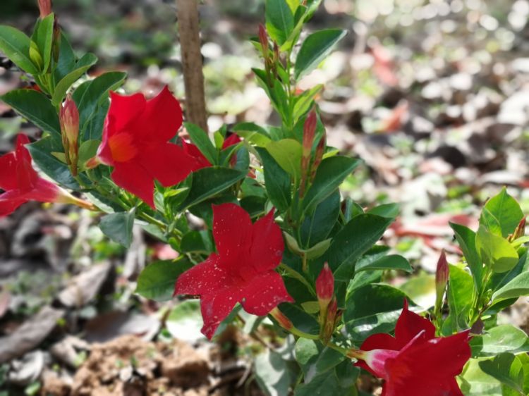 微信图片_20190329095054_jpg 微信图片_20190329095054_jpg