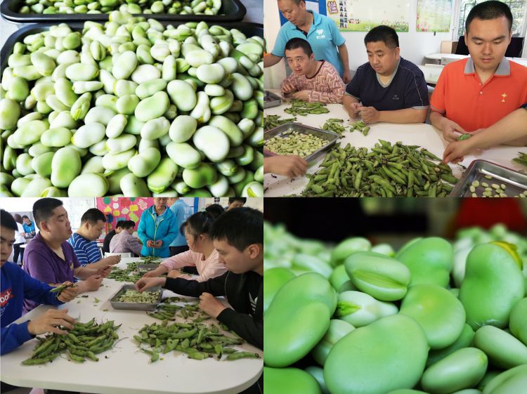 微信图片_20190426204116_jpg