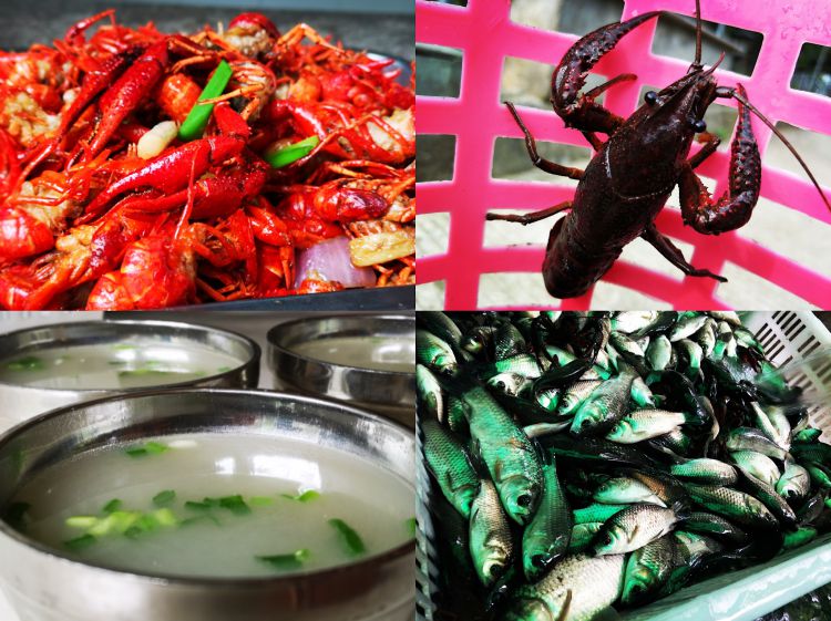 微信图片_20190519032214_jpg