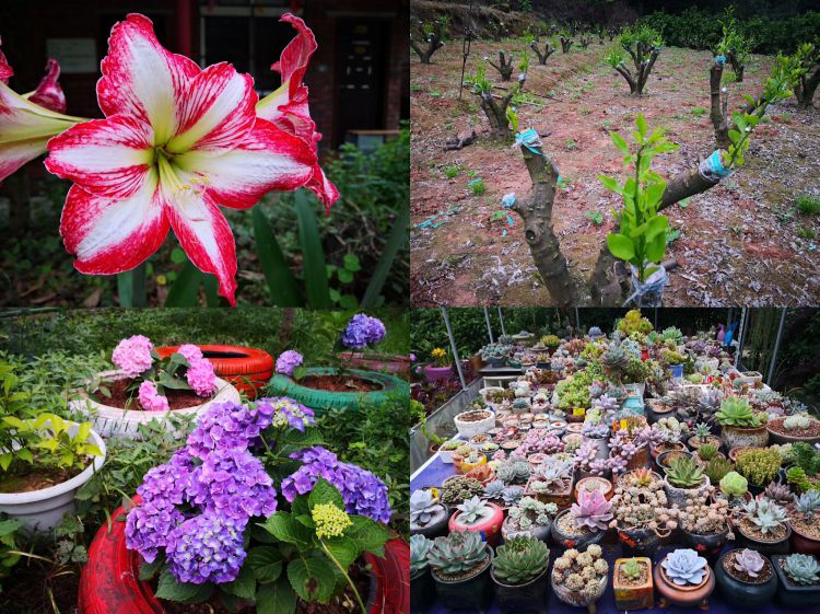 微信图片_20190519032217_jpg