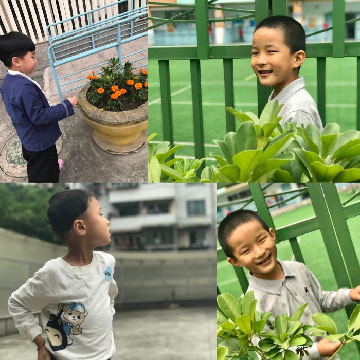 微信图片_20190531200124_jpg