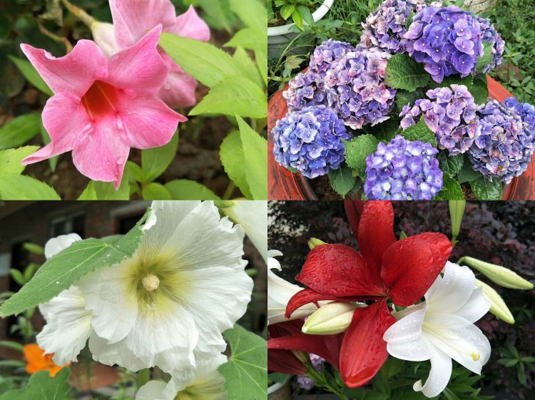 微信图片_20190606164849_jpg