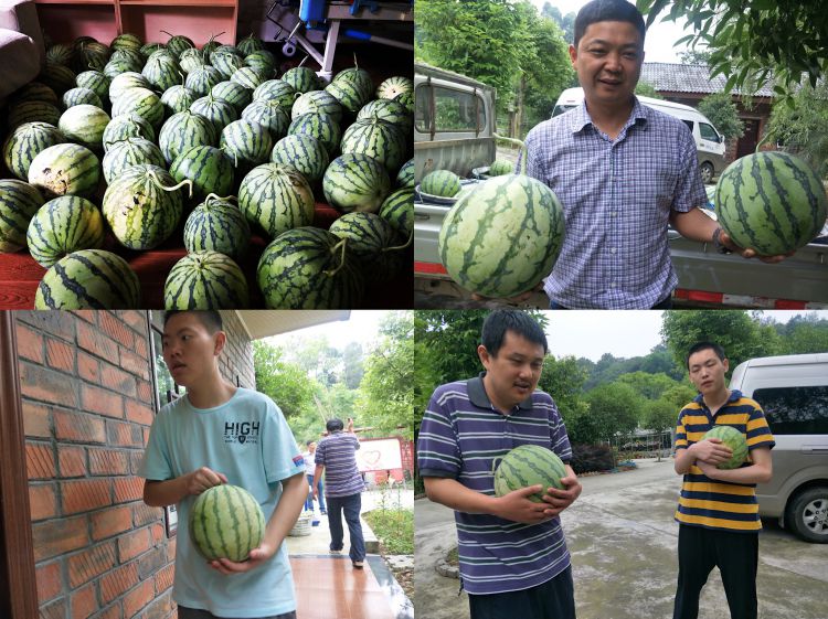 微信图片_20190621152933_jpg