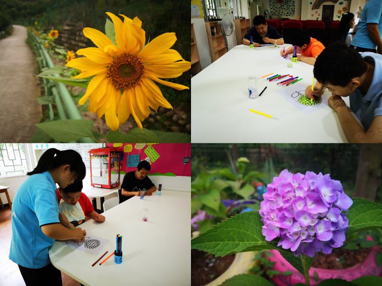 微信图片_20190705103844_jpg