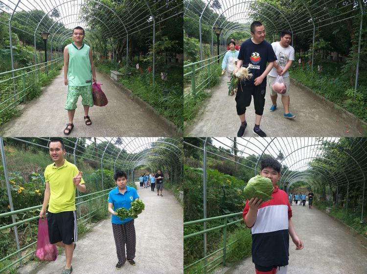 微信图片_20190705103849_jpg