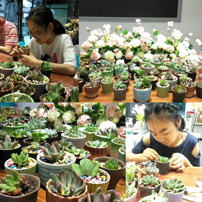 微信图片_20190712172714_jpg