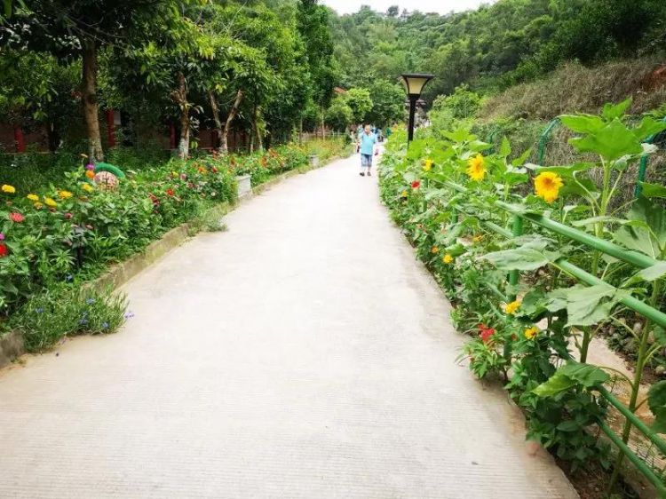 微信图片_20190719112802sww_jpg