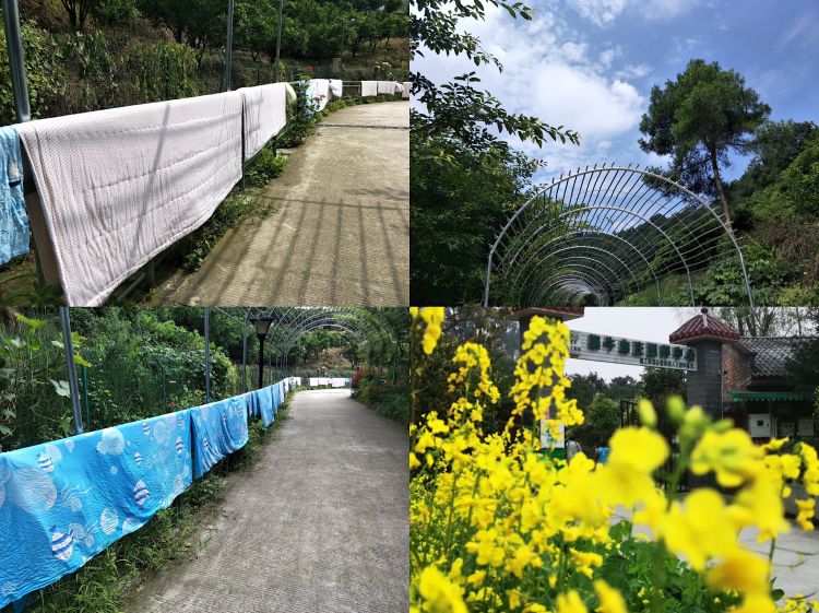 微信图片_20190720233325_jpg