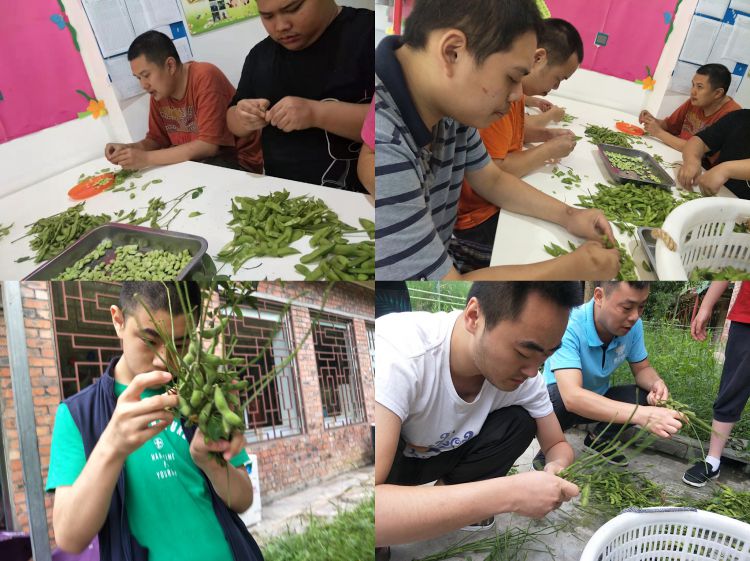 微信图片_20190720233354_jpg