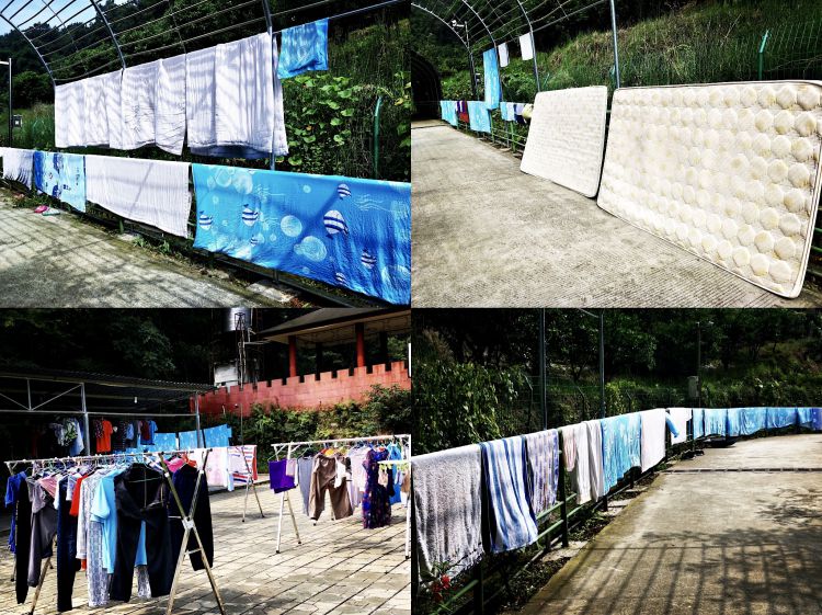 微信图片_20190802150258_jpg