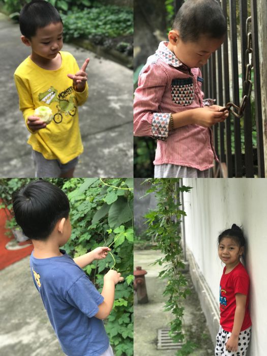 微信图片_20190905150501_jpg