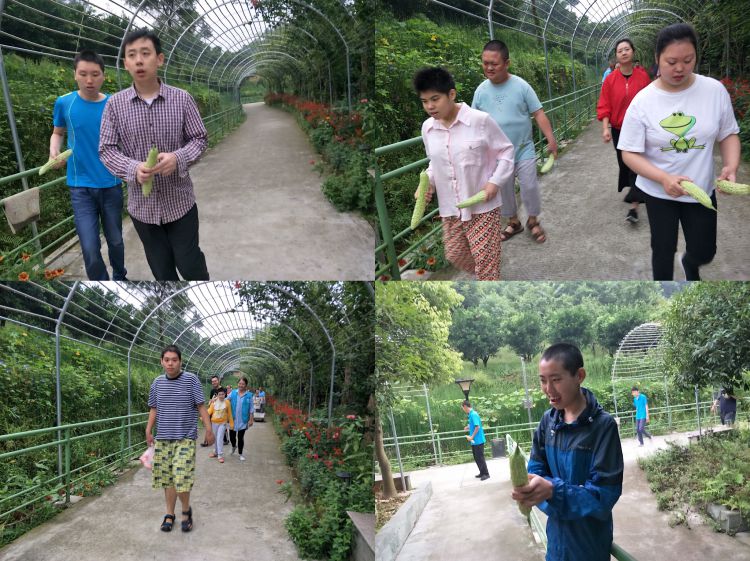 微信图片_20190905150513_jpg