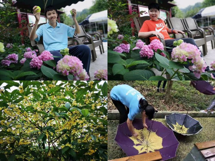 微信图片_20190912160610_jpg