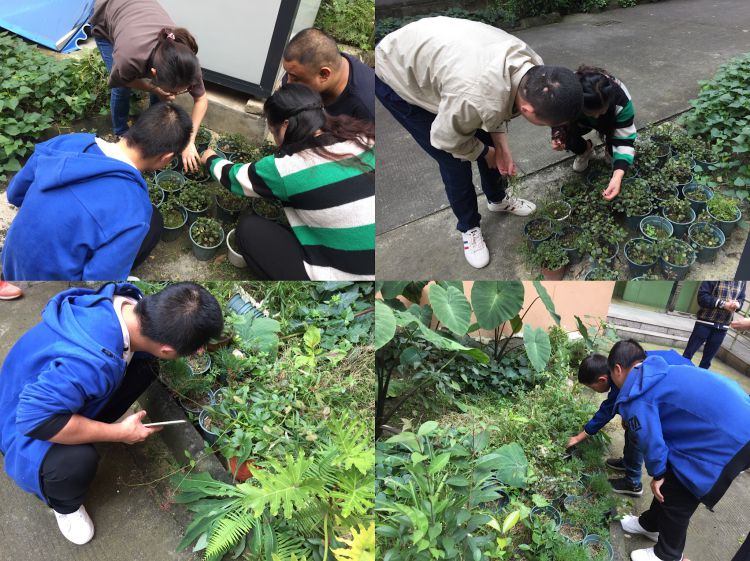 微信图片_20191018151758_jpg