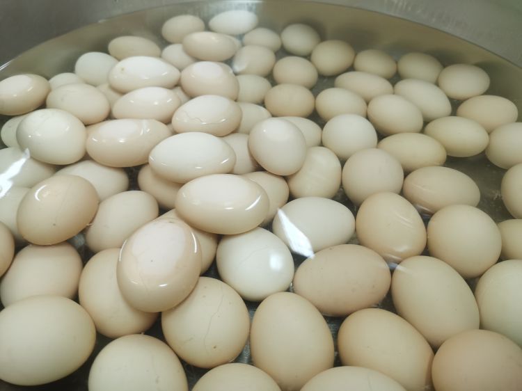 QQ图片20191115110433_jpg