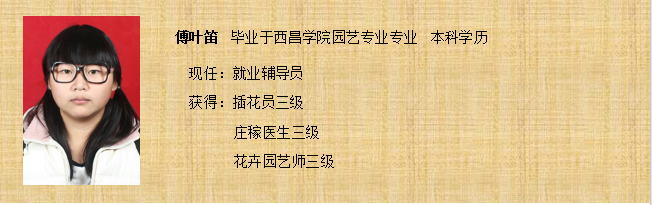 QQ截图20200110162451_png