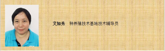 QQ截图20200110165311_png