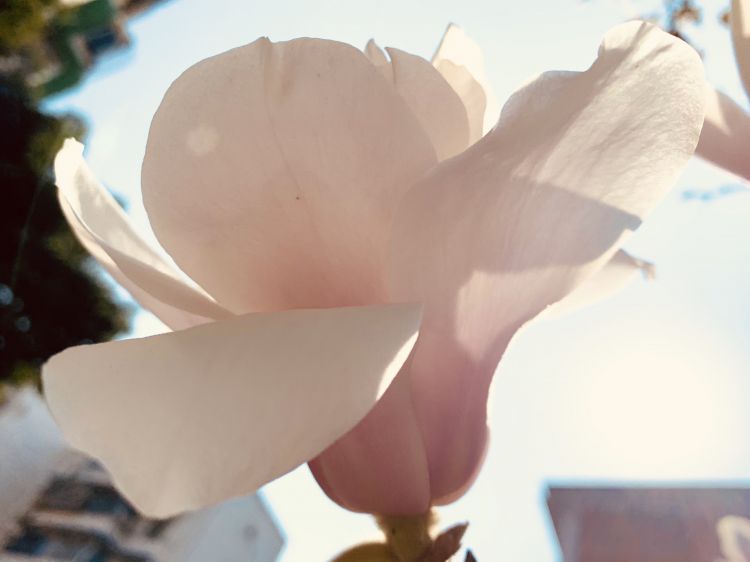 微信图片_20200221114706_jpg