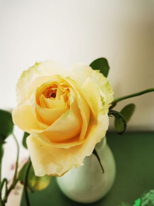 微信图片_20200424104506_jpg