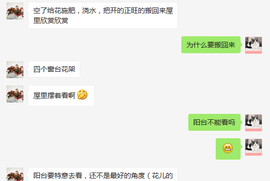 QQ截图20200423163656_png